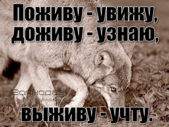 Поживем увидим. Поживу увижу доживу узнаю выживу учту. Поживём увидим Доживём узнаем выживем. Поживём увидем Доживём узнаем выживем учтем. Доживём узнаем выживем учтём.