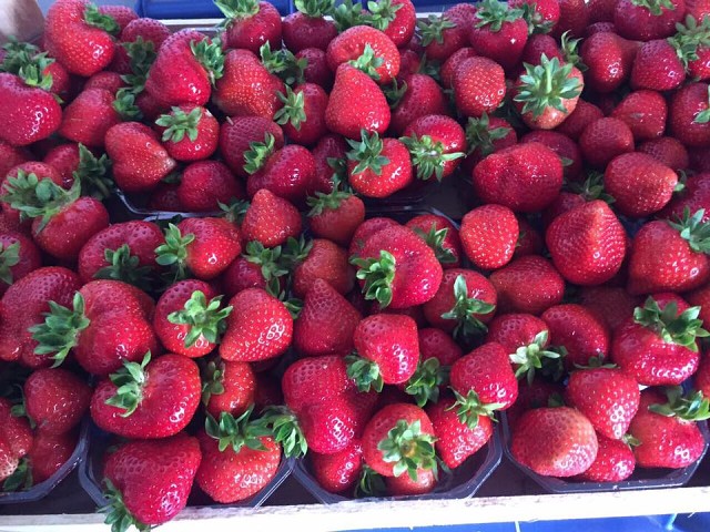 Клубника флорентина описание сорта фото Клубника флорентина описание сорта фото