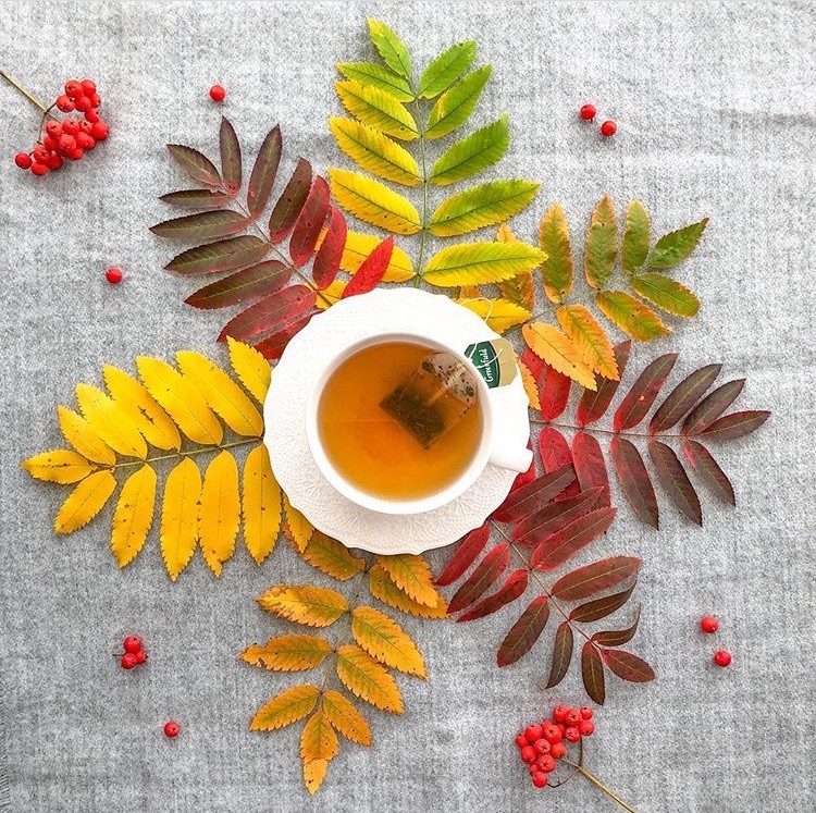 Бесплатно октябрьские картинки с добрым утром Бесплатно октябрьские картинки с добрым утром