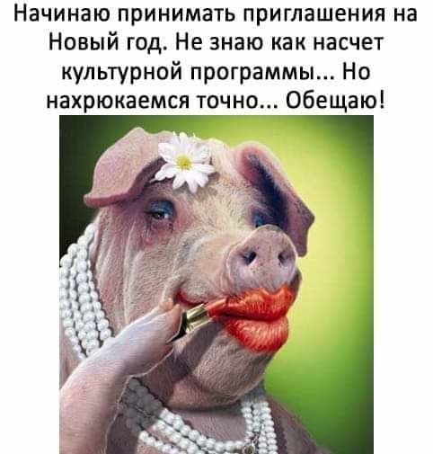 Ну, здравствуй, год Свиньи! Image?id=872445474179&t=3&plc=WEB&tkn=*mzd0_CfrlhGeGrcK9pYS6feV-DM