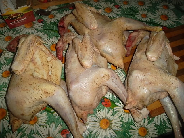 Мясо петуха фото Мясо петуха фото