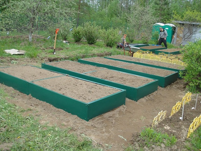 Грядка поле чистопольская ул 4 фото Грядка поле чистопольская ул 4 фото