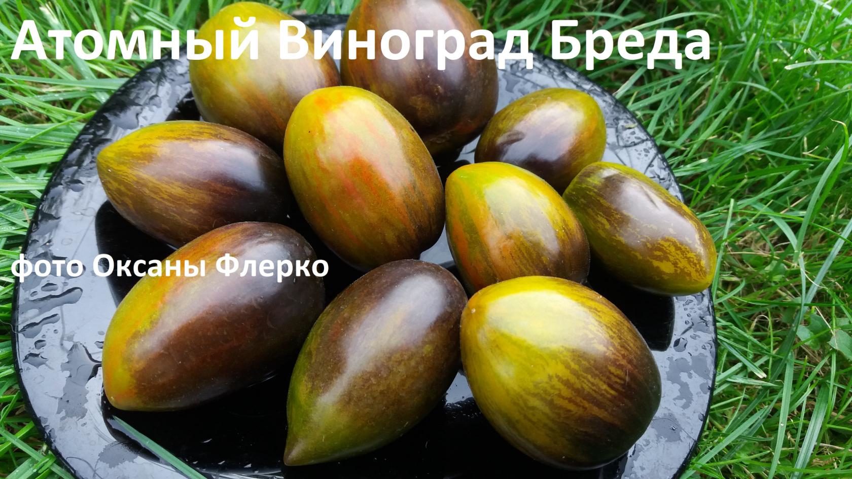 Атомный виноград бреда фото Атомный виноград бреда фото