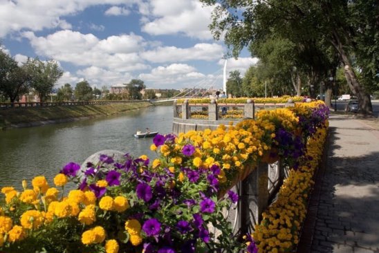 Набережная цветы фото Набережная цветы фото