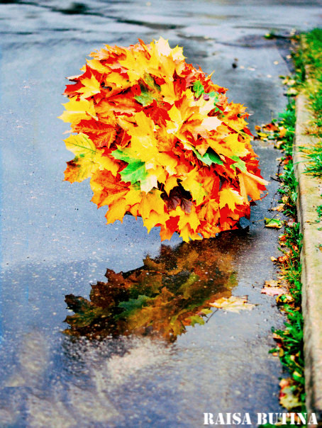 Зонт из листьев фото Зонт из листьев фото