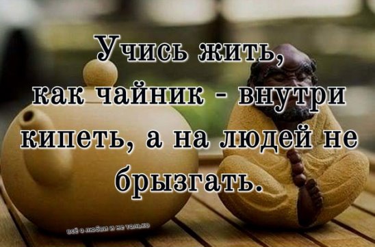 Учатся жить с новым