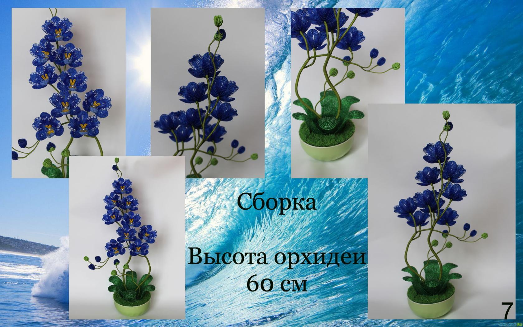 Орхидеи Image?id=874612629663&t=3&plc=WEB&tkn=*PNscr-6qklwD6BDx7fH8OPK1Fpk