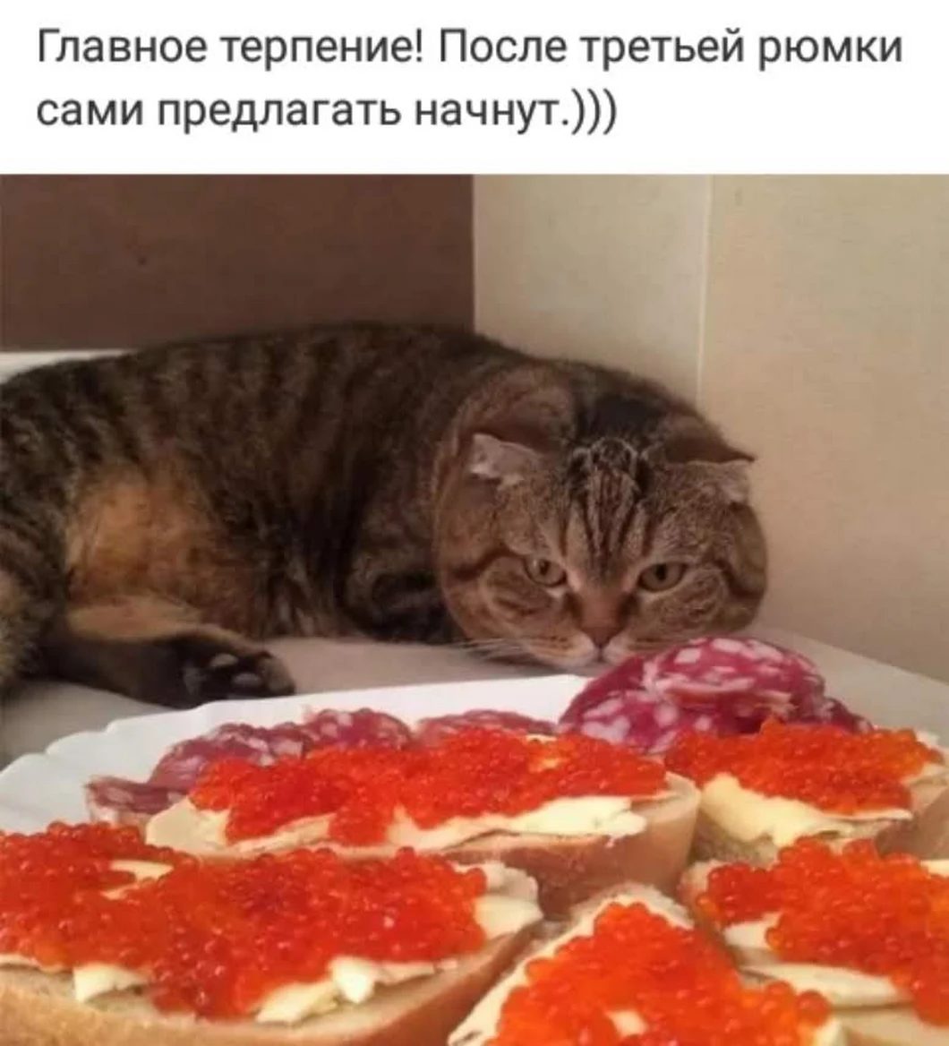 Посмеялся сам - поделись с другом!!!