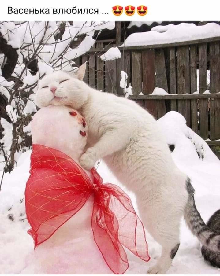 Посмеялся сам - поделись с другом!!!