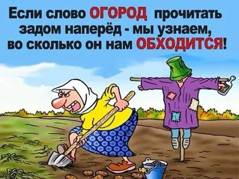 Тарталетки & Ко