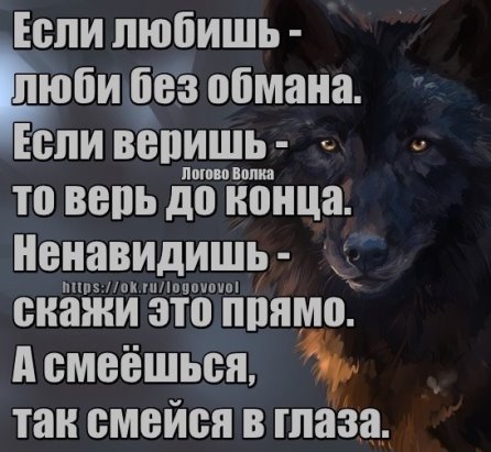 Без обмана без кодов. Если любишь люби без обмана если веришь то. Если любишь люби без обмана если веришь то верь до конца. Если любишь то люби до конца. Цитата если любишь люби без обмана.