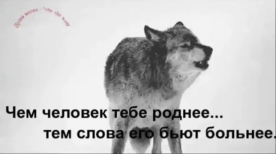 Не бойся тебе понравится. Только близкий человек может сделать больно. Больнее всего бьют самые близкие люди. Самые близкие люди делают больнее всего. Только близкие люди способны сделать больно.