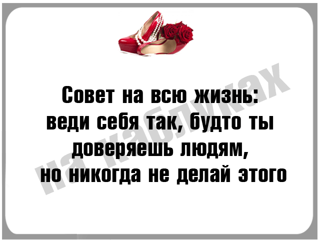 Давай жизненный совет. Совет на всю жизнь веди себя так будто. Совет на всю жизнь веди себя так будто ты доверяешь. Совет на всю жизнь. Картинки совет на всю жизнь веди себя так.