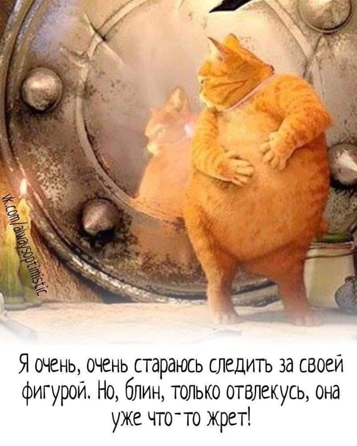 Тарталетки & Ко