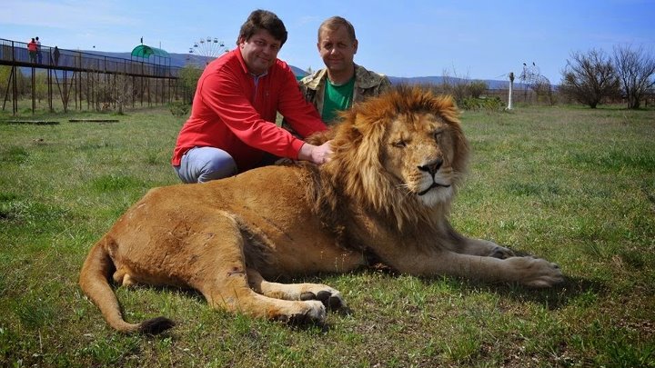 Максим яковлев тайган фото Максим яковлев тайган фото