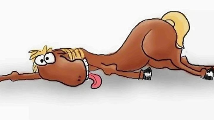 Загнанная лошадь фото Загнанная лошадь фото