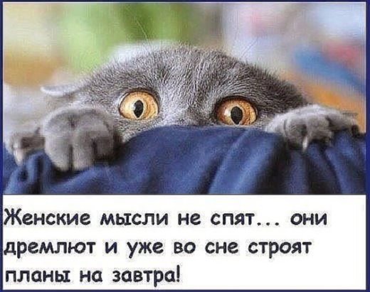 Тарталетки & Ко