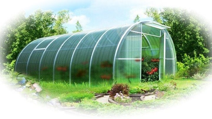 Арт теплица пр строителей 3 фото Арт теплица пр строителей 3 фото