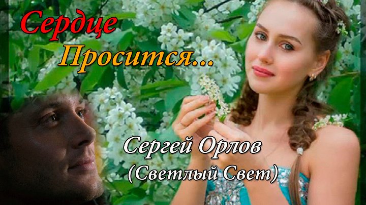 Остановись постой орлов. Клипы Сергея Орлова. Сборник песен Сергея. Орлова.