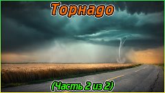 Торнадо (Часть 2 из 2) (1080p)