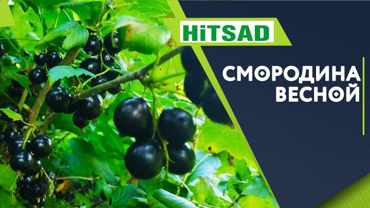 Урожайка Интернет Магазин Саратов