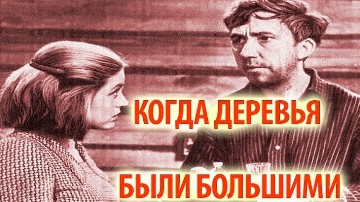 Когда деревья были большими фото Когда деревья были большими фото