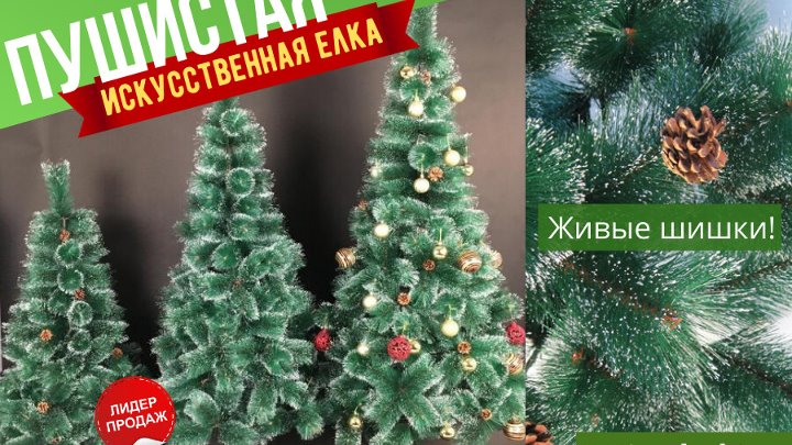 Где где?! В Краганде!  Майкудук Макен