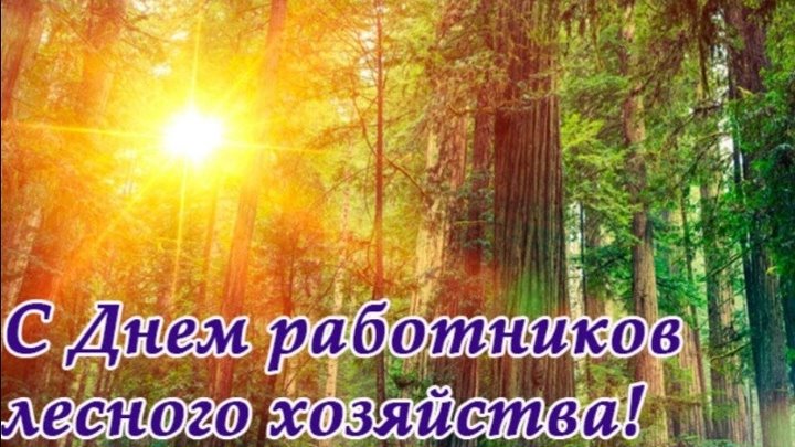 15 сентября день работников леса картинка 15 сентября день работников леса картинка