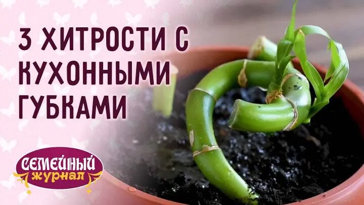 Уловка хитрость 7 букв сканворд