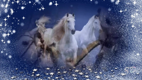 Белые лошадки песня. Три белых коня. Белый конь в новогоднюю ночь. Белые кони зимней ночью. Белая лошадь зимой.