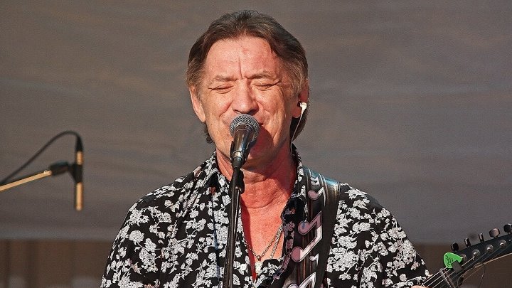 Дроздов синяя птица фото Дроздов синяя птица фото