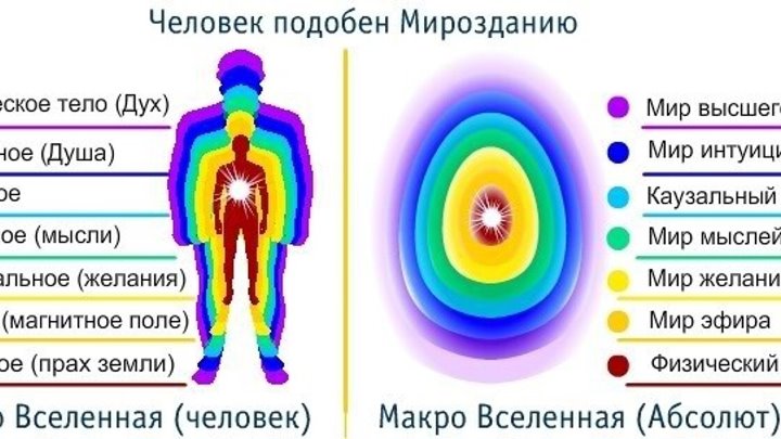 Виды тел человека фото Виды тел человека фото