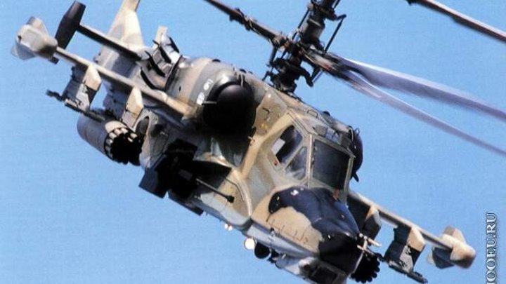 Как выглядит черная акула Как выглядит черная акула