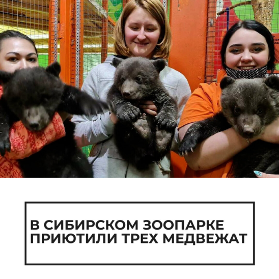 Иркутский зоопарк ул карла маркса 50 фото Иркутский зоопарк ул карла маркса 50 фото