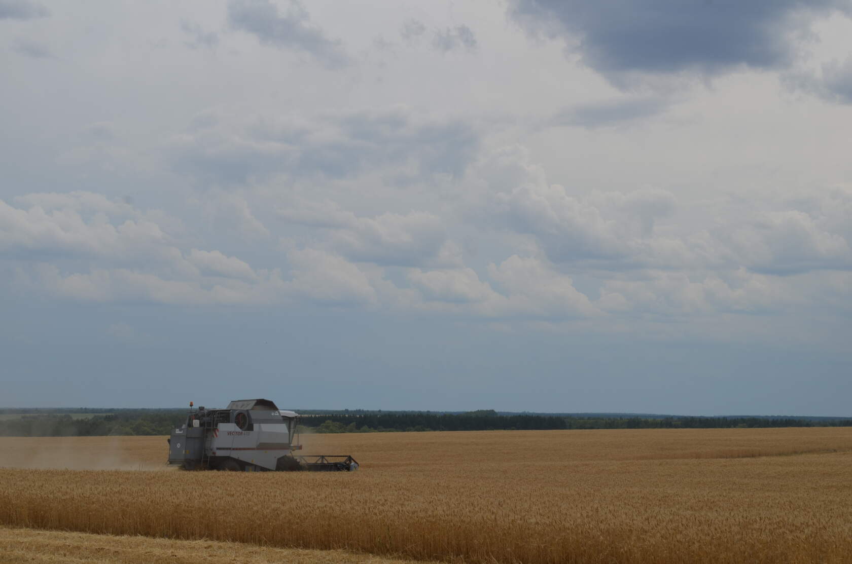 В Саратовской области собран первый миллион тонн зерна