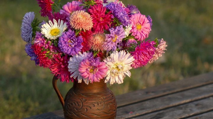 Букеты из астр фото красивые Букеты из астр фото красивые