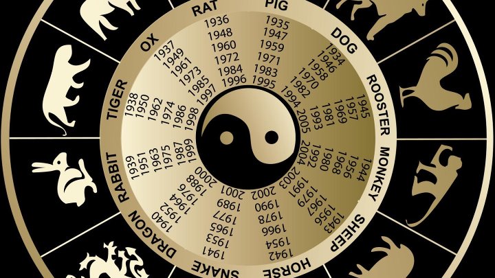 Восточный календарь фото Восточный календарь фото