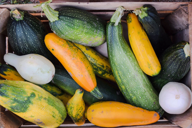 Куча кабачков фото Куча кабачков фото