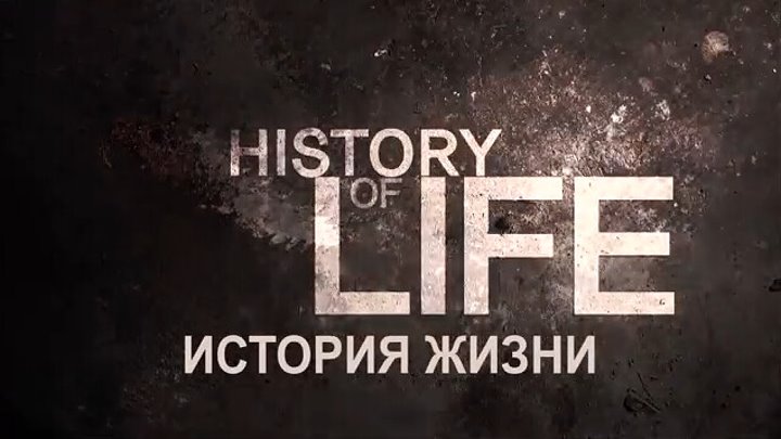 История жизни документальный