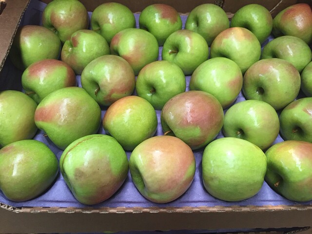 Названия зеленых яблок с фото Названия зеленых яблок с фото