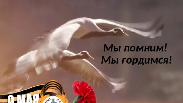 Журавли победы фото Журавли победы фото