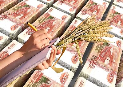 Региональные производители зерновых культур могут получить субсидии