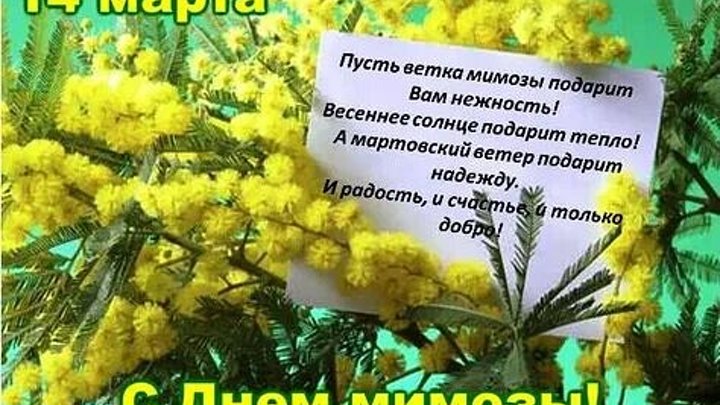 Поздравляю с днем мимозы любовниц и коллег. День мимозы. С днем мимозы картинки.