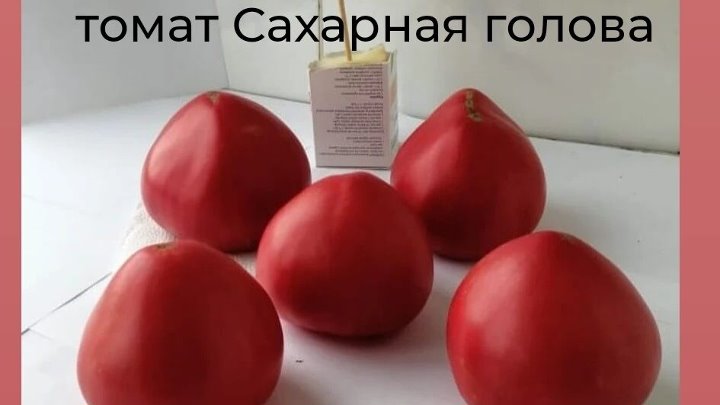 Томат сахарные уста. Томат сахарная голова отзывы