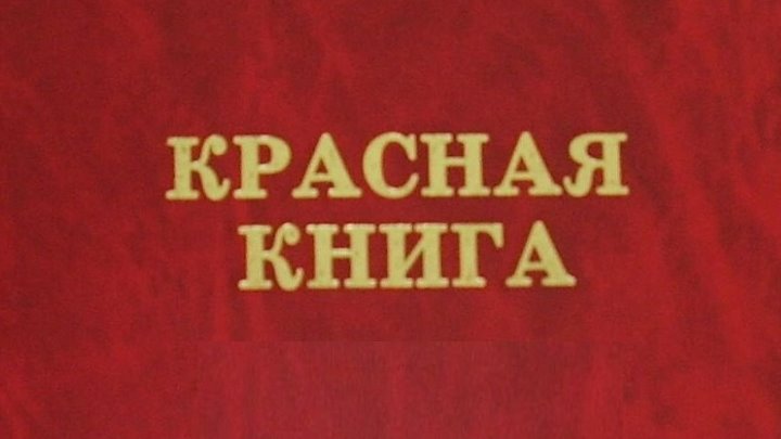 Красная книга россии фото обложки официальная Красная книга россии фото обложки официальная