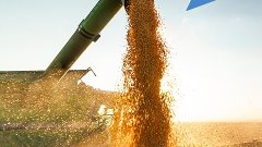 Как новые технологии помогают в сельском хозяйстве
