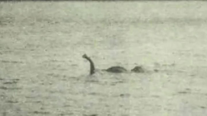 Лохнесское чудовище озера лохнесс фото Лохнесское чудовище озера лохнесс фото