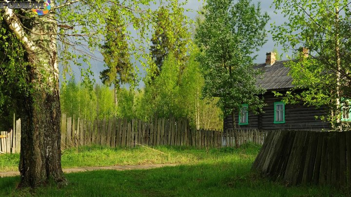 Деревня лес фото Деревня лес фото