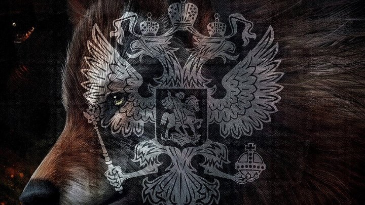 Гербы россии с медведем фото Гербы россии с медведем фото