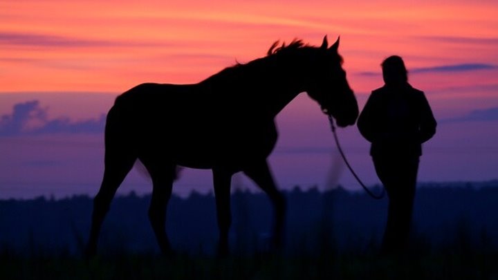 Выйду в поле с конем фото Выйду в поле с конем фото